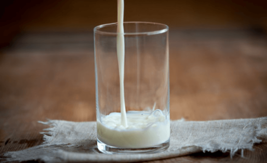 la grasa de la leche - los componentes de la leche